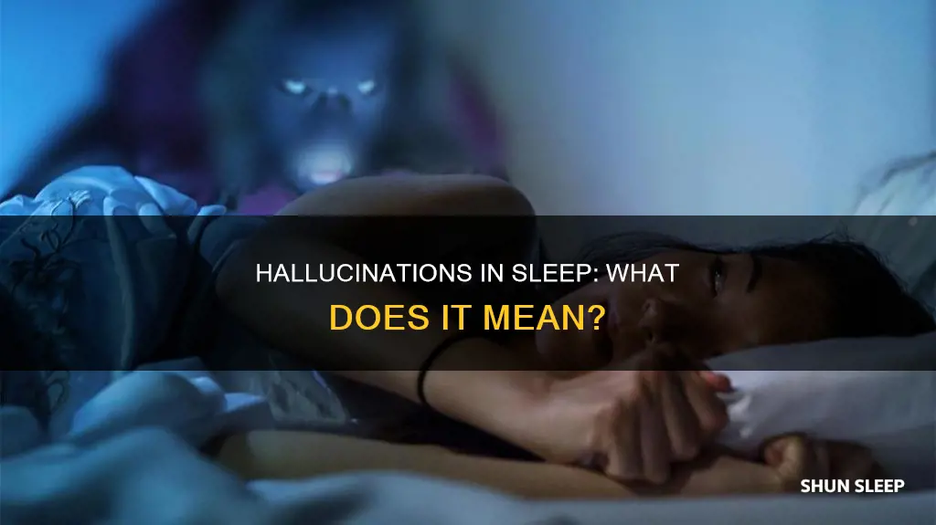 what does it mean when you hallucinate in your sleep