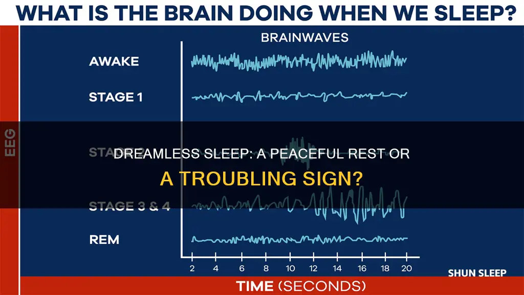 what does it mean when you have dreamless sleep