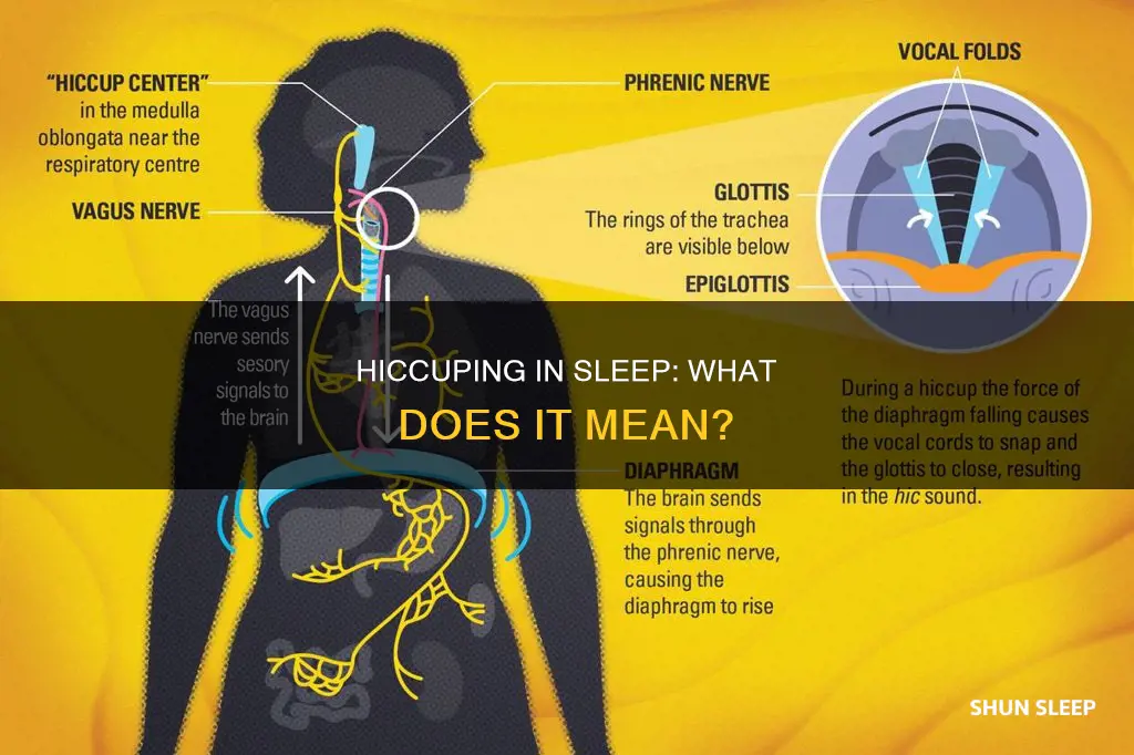 what does it mean when you hiccup in your sleep