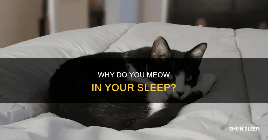 what does it mean when you meow in your sleep