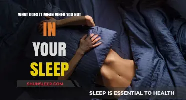 The Mystery of Nocturnal Emissions: Why Do Men Nut in Sleep?