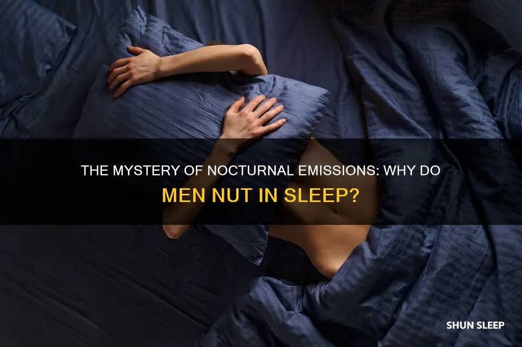 what does it mean when you nut in your sleep