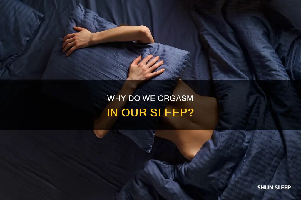 what does it mean when you orgasim in your sleep