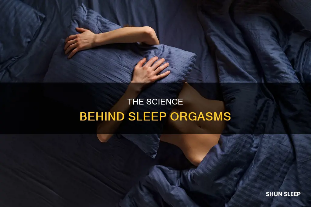 what does it mean when you orgasm in your sleep