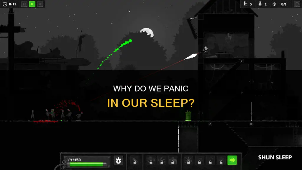 what does it mean when you panic in your sleep