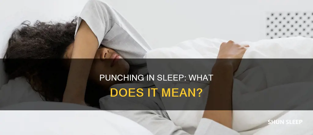 what does it mean when you punch in your sleep