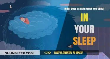 Shouting in Sleep: What Your Brain is Trying to Tell You
