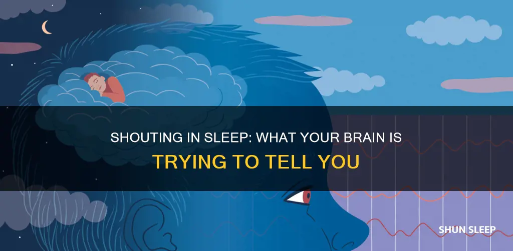 what does it mean when you shout in your sleep