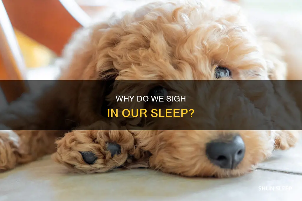 what does it mean when you sigh in your sleep