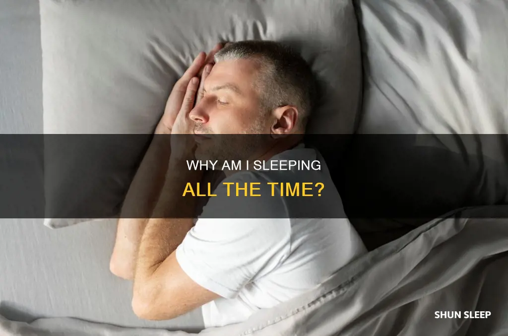 what does it mean when you sleep all the time