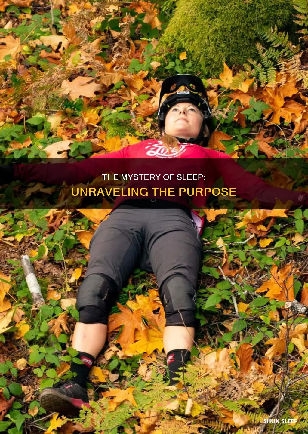 what does it mean when you sleep