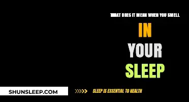 Why Do We Smell in Our Sleep?