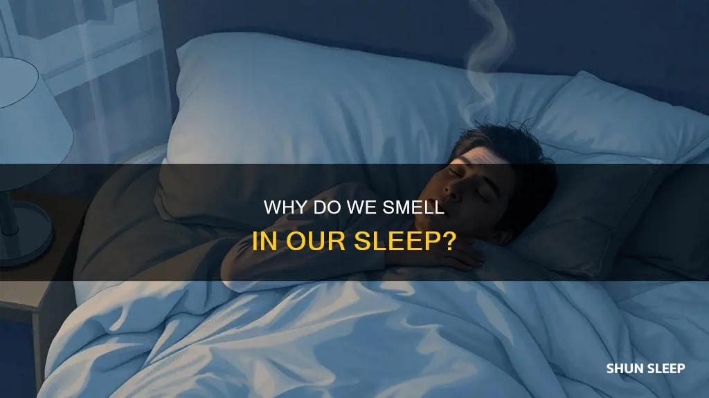 what does it mean when you smell in your sleep