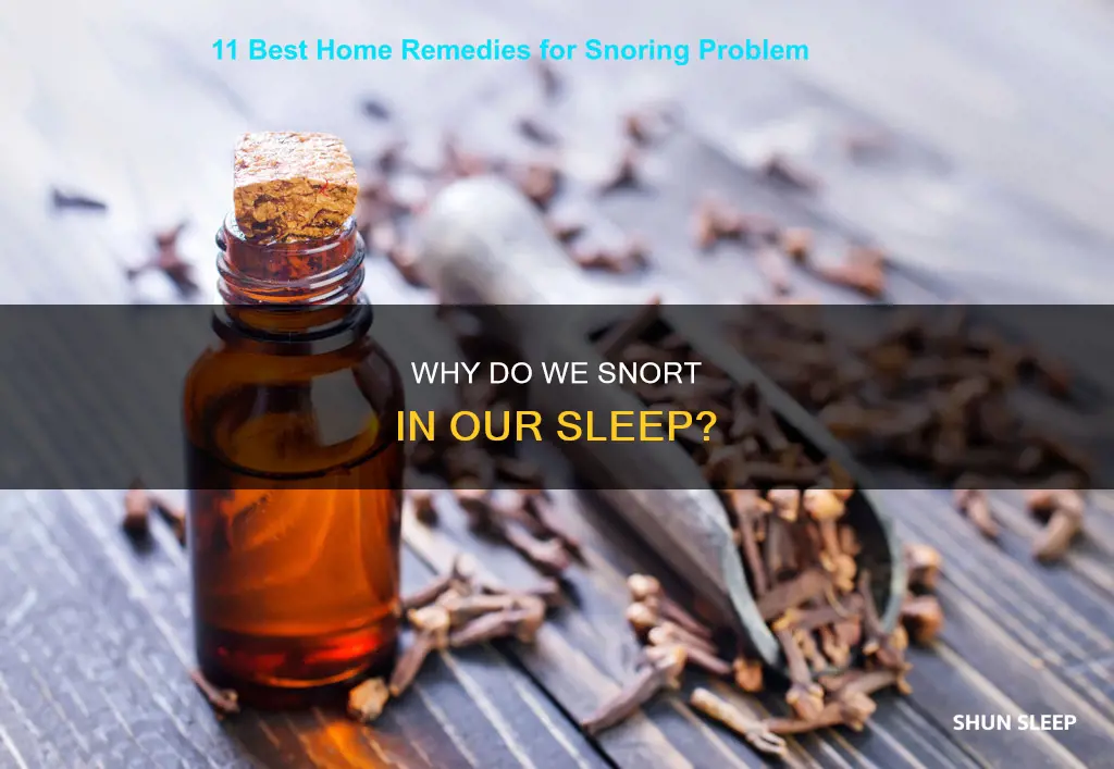 what does it mean when you snort in your sleep