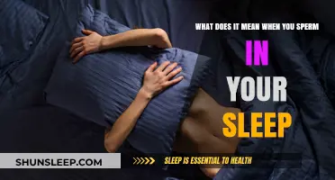 The Mystery of Nocturnal Emissions: Why Do Men Ejaculate in Sleep?