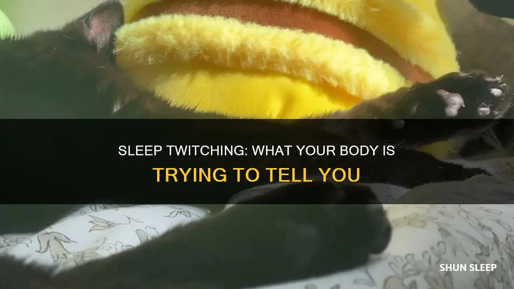what does it mean when you twitch in your sleep