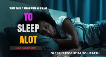 Why Do I Want to Sleep All the Time?