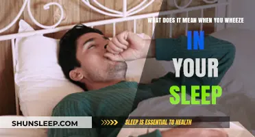 Wheezy Sleep: What Your Body is Telling You