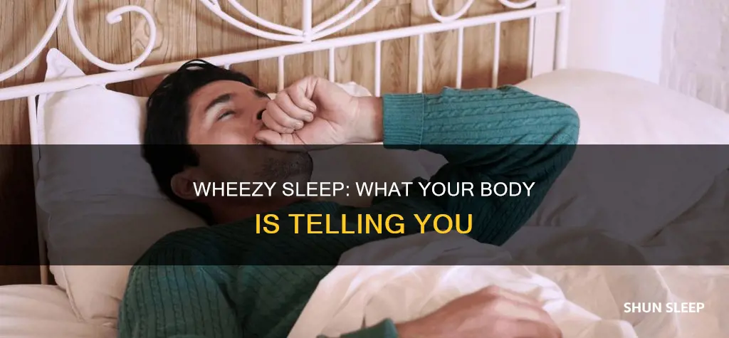 what does it mean when you wheeze in your sleep