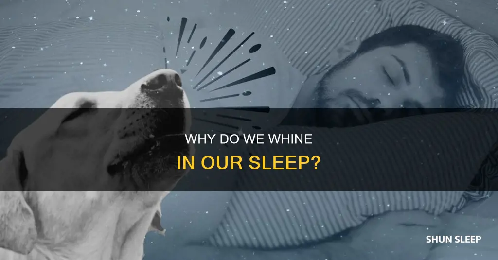 what does it mean when you whine in your sleep