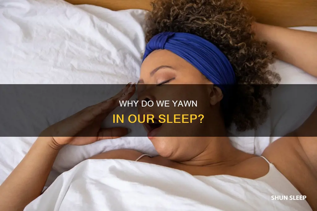 what does it mean when you yawn in your sleep
