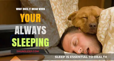 Why Am I Always Sleeping?
