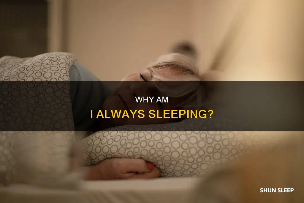 what does it mean when your always sleeping