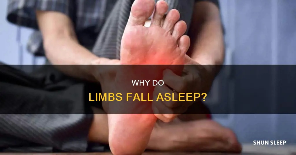 what does it mean when your arm goes to sleep