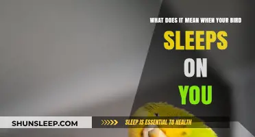 Why Does Your Bird Choose to Sleep on You?