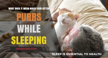 Why Do Kittens Purr in Their Sleep?
