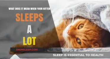 Why Do Kittens Sleep So Much?