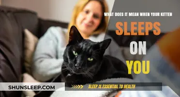 Why Does Your Kitten Sleep on You?