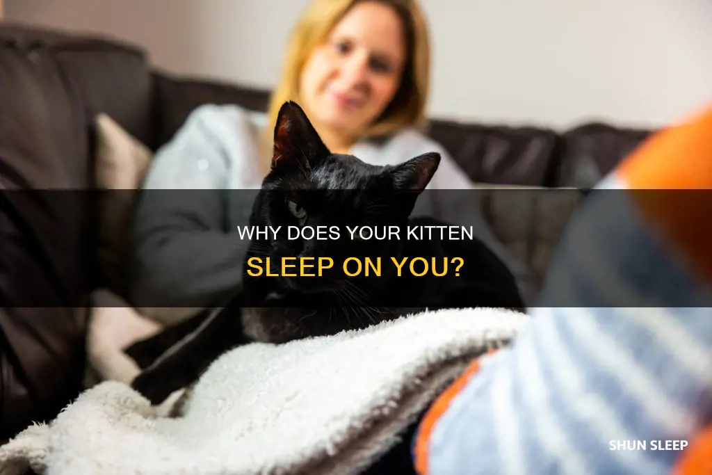 what does it mean when your kitten sleeps on you