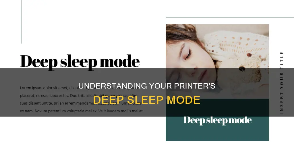 what does it mean when your printer says deep sleep
