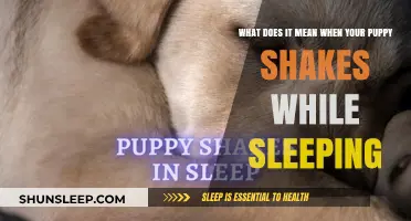 Why Do Puppies Shake in Their Sleep?