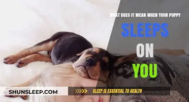 Why Does Your Puppy Sleep on You?