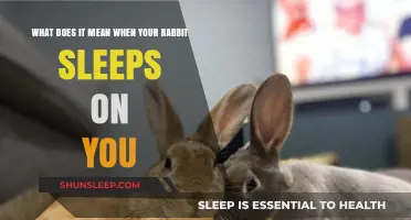 Why Does Your Rabbit Sleep on You?