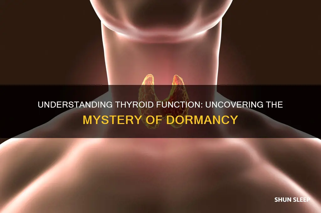 what does it mean when your thyroid is a sleep