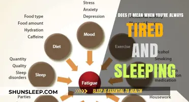 Why Am I Always Tired and Sleeping?