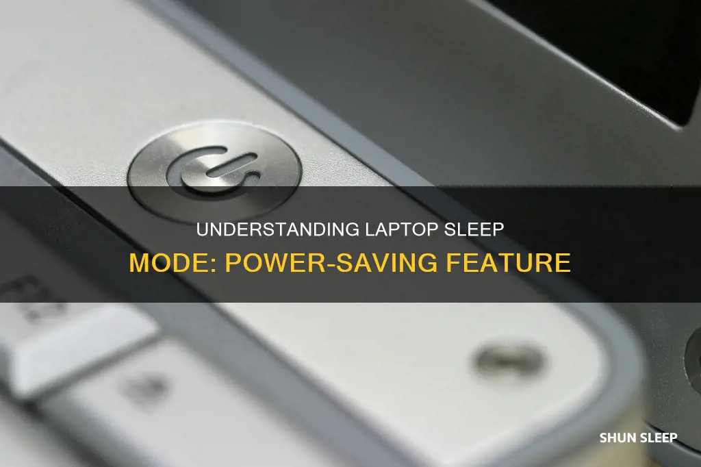 what does laptop sleep mean