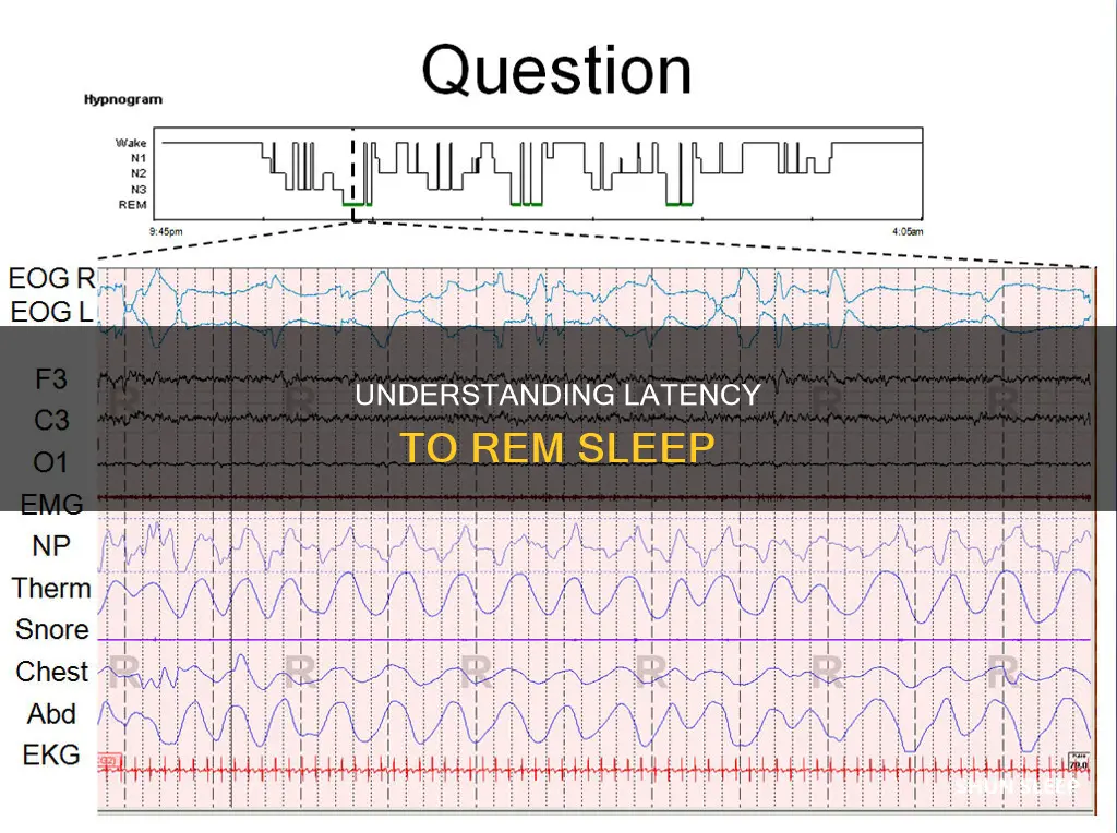 what does latency to rem sleep mean