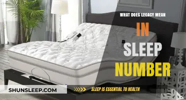 Sleep Number's Legacy: A Comfortable Evolution