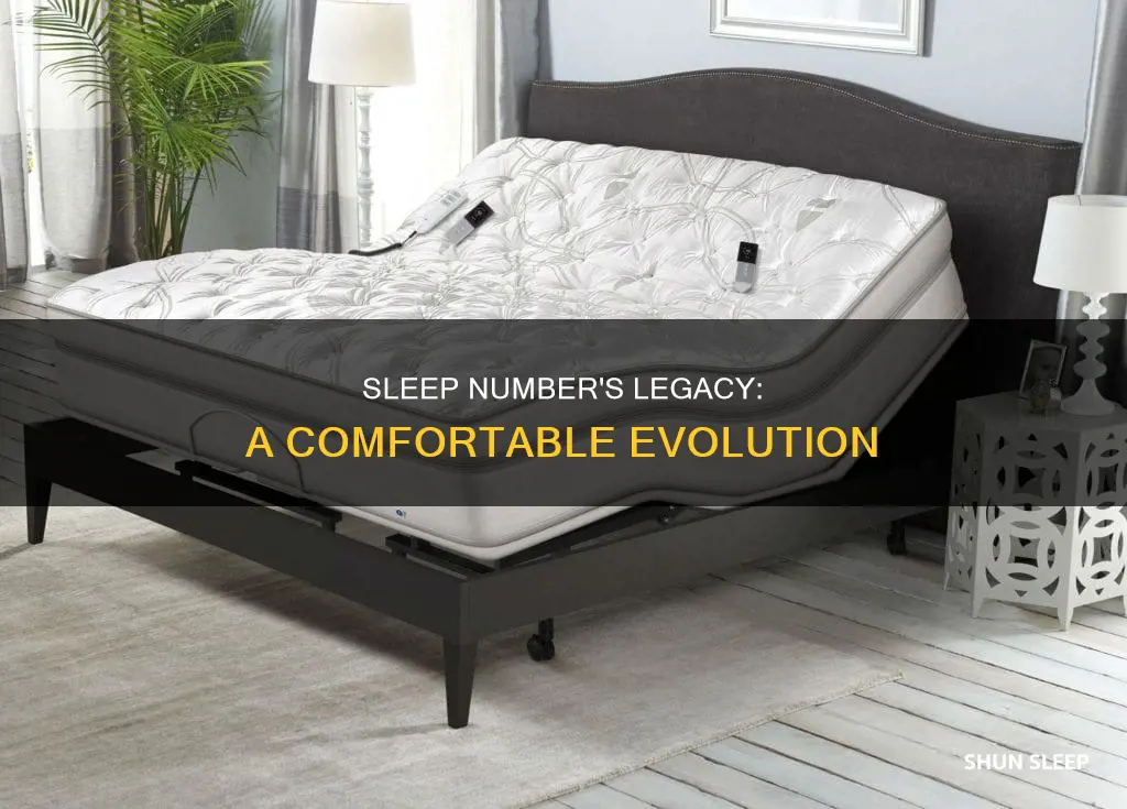 what does legacy mean in sleep number