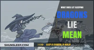 Unleashed Dragons: The Meaning Behind the Myth