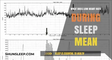 Heart Rate During Sleep: What Does It Mean?