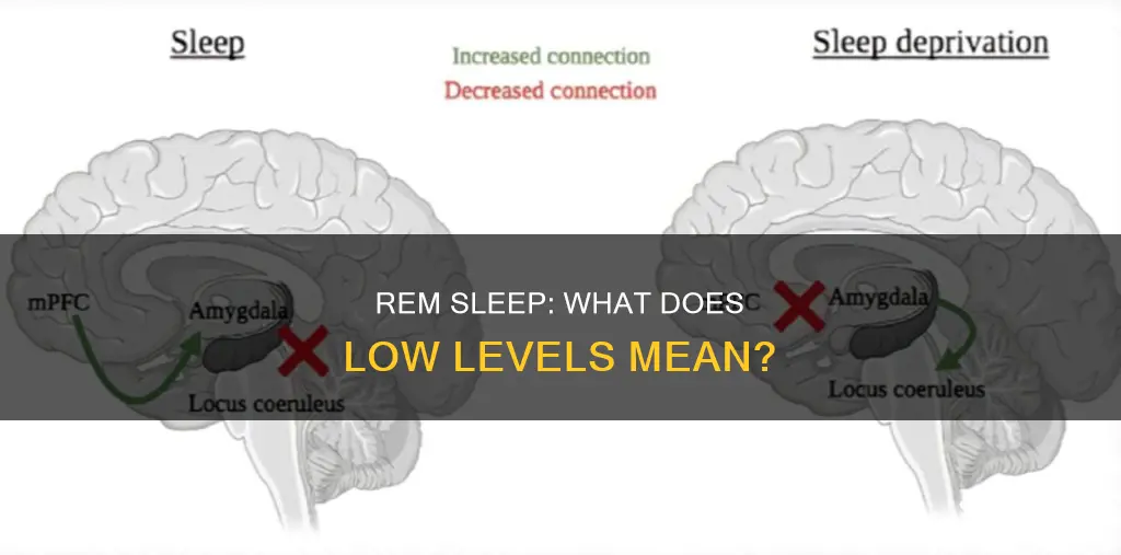 what does low rem sleep mean