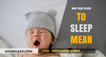 The Soothing Art of Being Lulled to Sleep