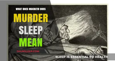 Macbeth: Sleep, Murder, and Madness Explained