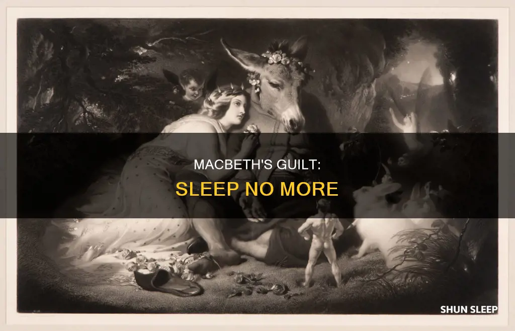 what does macbeth shall sleep no more mean