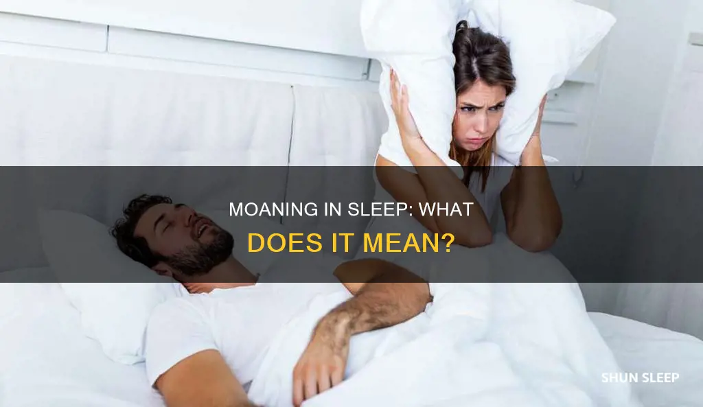 what does moaning during sleep mean